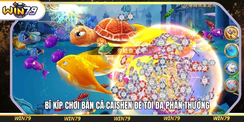 Bí kíp chơi bắn cá Caishen để tối đa phần thưởng