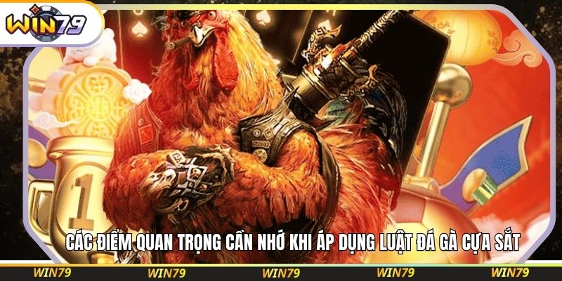 Các điểm quan trọng cần nhớ khi áp dụng luật đá gà cựa sắt