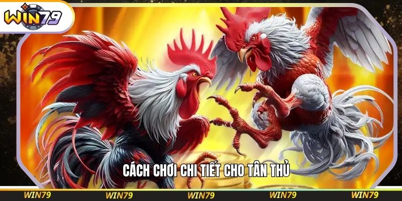 Cách chơi chi tiết cho tân thủ 