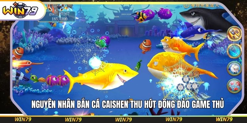 Nguyên nhân bắn cá Caishen thu hút đông đảo game thủ