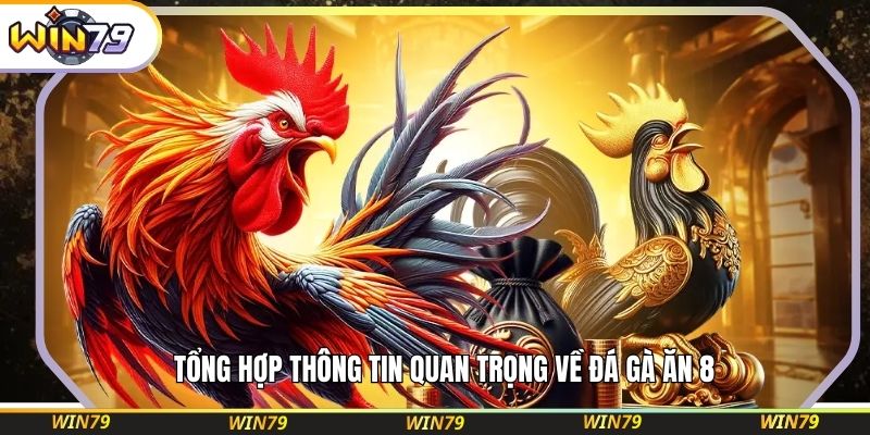 Tổng hợp thông tin quan trọng về đá gà ăn 8